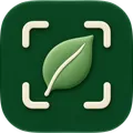 StudyLens icon