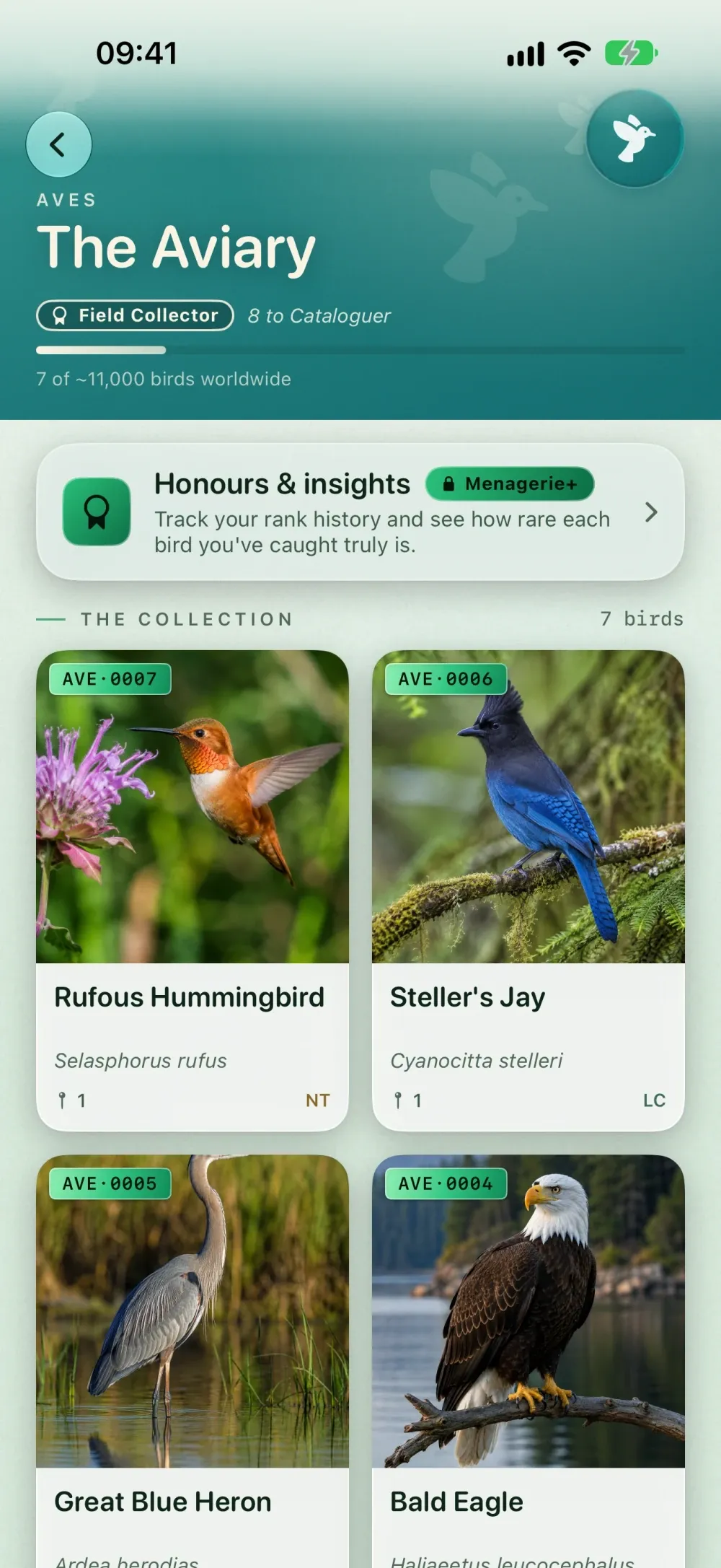 Menagerie screenshot 2 (light mode)